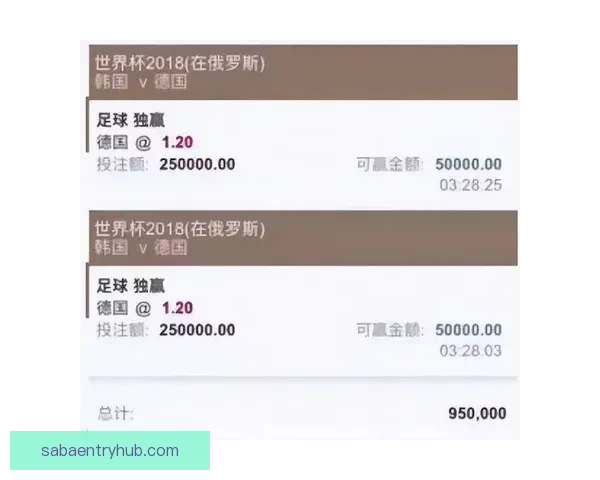 围绕世界杯买球平台打造安全便捷高效体育投注新体验指南